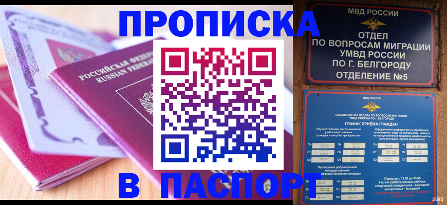 временная регистрация законно в Сольцах