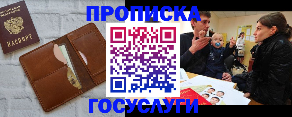 прописка поиск в Сольцах